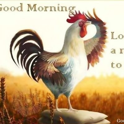 Sreekan69275270's profile picture. 😉