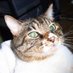 wacky (JF0TKF) (@jf0tkf_wacky) Twitter profile photo wacky (JF0TKF) (@jf0tkf_wacky) Twitter profile photo