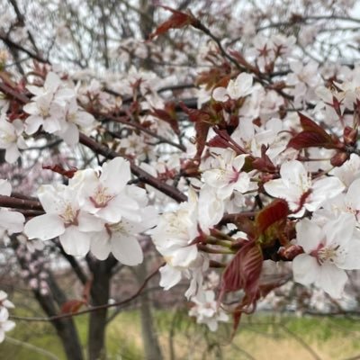 ザストからルイ推し🐶⚡STARGLOW応援してます💫名古屋在住のアラサー ルイ推しさん大歓迎🎎HANAはチカ推し