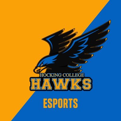 Official account for the Hocking College Hawks Esports team. Member of the NJCAAE and NECC. Recruiting for Overwatch & Rocket League. Head Coach: @plaintextMark