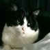 Catherine Morrow (@catheri25176061) Twitter profile photo Catherine Morrow (@catheri25176061) Twitter profile photo