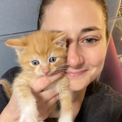 CatsVaxnNatSec's profile picture. Economist by education, NatSec by occupation. Kitten fostering and @mastersswimming to stay sane.