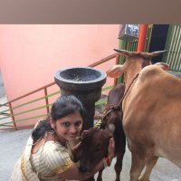Prajna #GouSwarga(@PrajnaHegde14) 's Twitter Profile Photo Prajna #GouSwarga(@PrajnaHegde14) 's Twitter Profile Photo