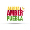 aamber_pue's profile picture. Alerta Amber Puebla forma parte del mecanismo nacional @AAMBER_mx para la búsqueda y localización de niñas, niños y adolescentes reportados como desaparecidos.