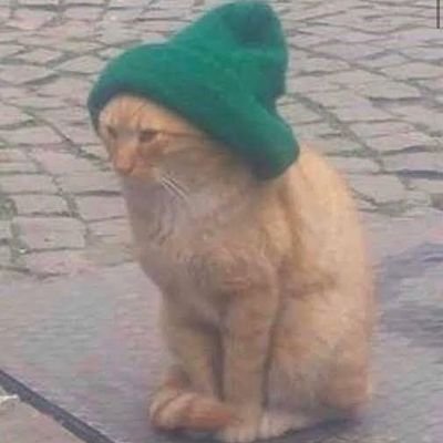 Extinct66607768's profile picture. Yurr