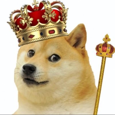 *SPAM* don’t take this page seriously, I’m talking to you NSA/CIA/SEC or whatever agency that’s checking out this page. #DOGE