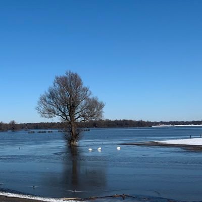 Annie_Oosten's profile picture. Allergisch voor alles wat verplicht is, geen vertrouwen in de overheid, leef heerlijk in mijn eigen bubbel, hou van een goed glas wijn