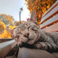 떽! (@0vrog) 's Twitter Profile