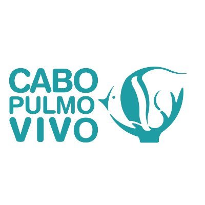 Inspirados en la recuperación de la comunidad y del arrecife en Cabo Pulmo, promovemos la construcción de una visión común.