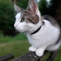Filiz (@filizkarafiliz) Twitter profile photo