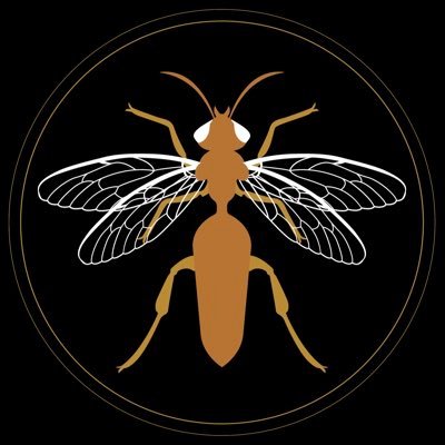 copper_wasp_ Profile Picture