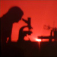Dr Viv Dillon (@microviv) 's Twitter Profile