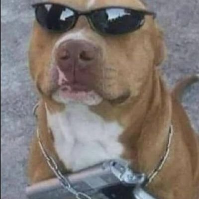 PJG137's profile picture. 