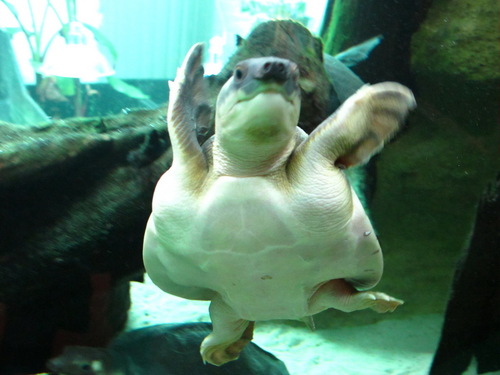 Bry_Li's profile picture. 