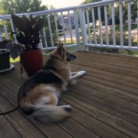 Captain Leader 🇺🇸 🇺🇦🙏 (@captainleader7) 's Twitter Profile