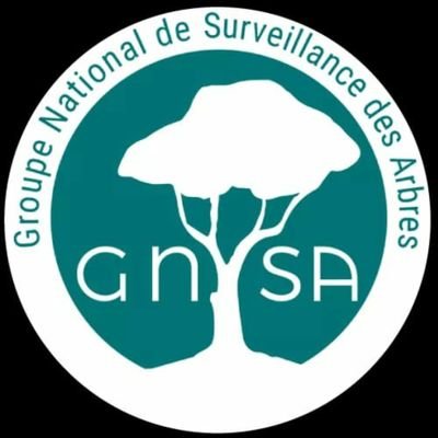 Association loi 1901 reconnue d'intérêt général, le Groupe National de Surveillance des Arbres (GNSA) a été créé en mai 2019 par Thomas Brail