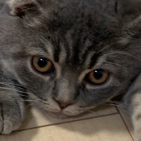 マスター＠脱パチ禁パチ (@datsupachi_net) 's Twitter Profile