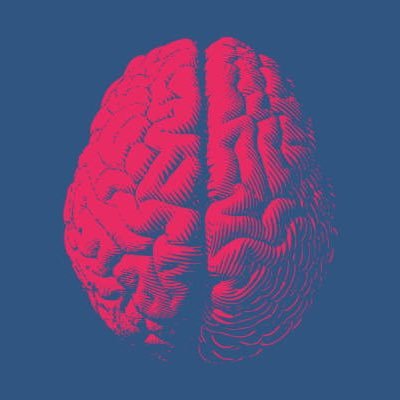 neurovalpo Profile Picture