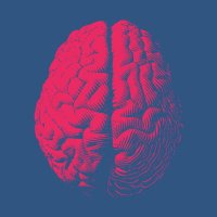 Neurovalpo (@neurovalpo) 's Twitter Profile