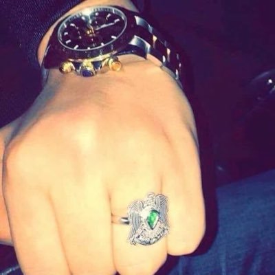 qXcAPr8REAJ26M4's profile picture. الصقر الحر ذيما عالي