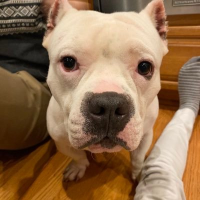 tsoonami98's profile picture. cream of the MF crop