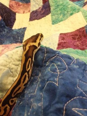 16bitstreams's profile picture. Jackson. 21. He/Him