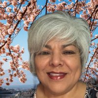 martha castilla (@marthac11811953) 's Twitter Profile