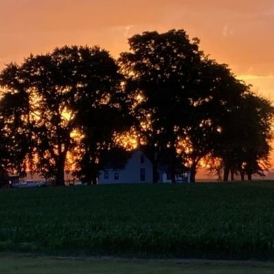 SteveGilkey's profile picture. KY to MO. Highlander ancestry , Nascar Fan.