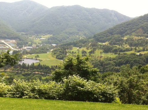 hunipro's profile picture. 