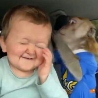 Hazzzy - Putting the ZZZ's on his enemizzz 😴 (@hazzzywazzzy) 's Twitter Profile Photo Hazzzy - Putting the ZZZ's on his enemizzz 😴 (@hazzzywazzzy) 's Twitter Profile Photo