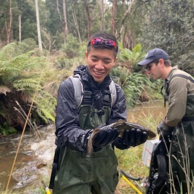 @JuanWang_Eco