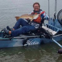 Trey Herold (@heroldtrey) 's Twitter Profile