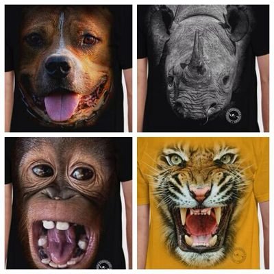 DBogeh's profile picture. @nexchain_ai