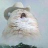 skyboy2396's profile picture.