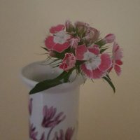 The Irish Psychotherapy and Guidance Hub (@irishguidance) 's Twitter Profile