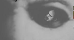 PSBCustard's profile picture. No surrender. 55