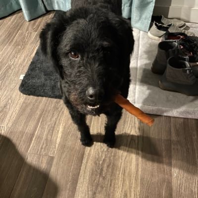 tdublicious's profile picture. Golfer, Lover of Slurpees, Peanut M & M's, Peanut Butter Cups, and Country Music. Thoughts expressed are my own.