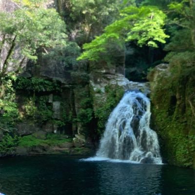 q8EfGQo05JKZ2be's profile picture. 人には言えない癖をお持ちの方と繋がりたい垢です。小も大も○おもらし女子おむつ女子💕皆さん仲良くしてください。