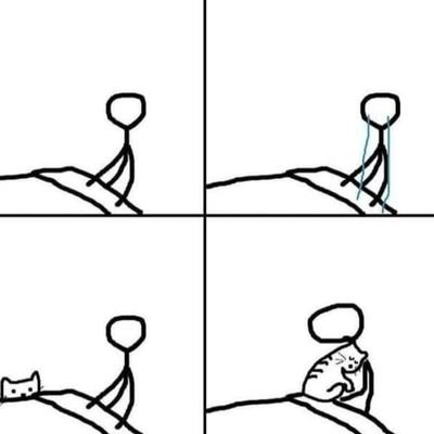 soficarval's profile picture. 🇲🇽