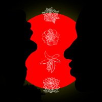 thomTide (@thomtide) 's Twitter Profile