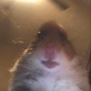 ZeekzYTツ - @BeauAlexander18 - Twitter