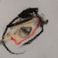 いしたに (@taichi600730) 's Twitter Profile