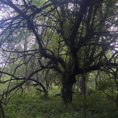 feelbetterbite's profile picture. They/them. 27. Late night thoughts and faraway dreams.