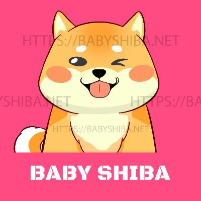Baby Shiba 🐶 #BSC