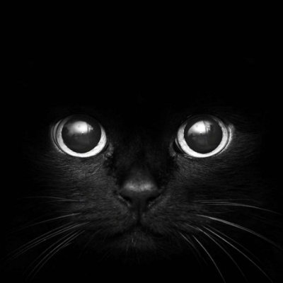 sKuR2outHGCdhbi's profile picture. Хикки, бдсм, кофе, алкоголь и сигареты