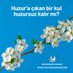 Ayse Eser (@ayseese60970928) Twitter profile photo Ayse Eser (@ayseese60970928) Twitter profile photo