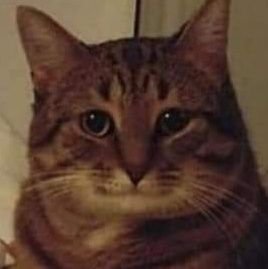 sunlytwindchime's profile picture. Any fulfillment is a bondage