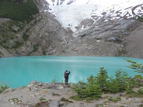 MrMandurah's profile picture. Greyhound Enthusiast “It needs to lead”