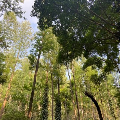 PPratheep's profile picture. Public Policy Student @ ISS