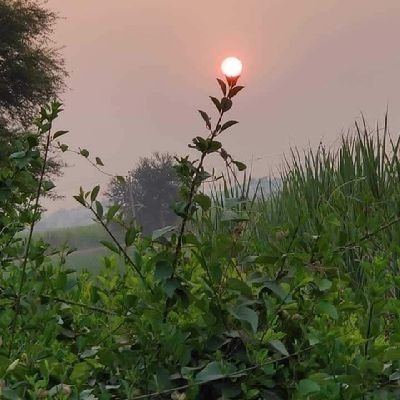 If you cry because the sun has gone out of your life, your tears will prevent you from seeing the stars